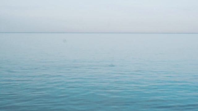 Рыбалка на яхте в Батуми | Дельфины |Рыбалка в Грузии смотреть онлайн