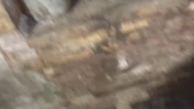 SUZUKI JIMNY M13A номер двигателя смотреть онлайн