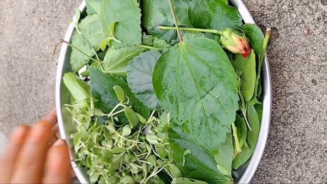 Hair care tips||simple gaa aipoye chitka||🌺 hibiscus||Meenus Talks||#Meenus Talks#beauty tip смотреть онлайн