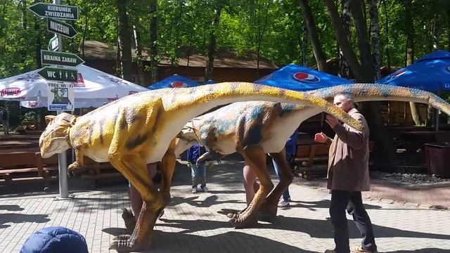 Animatroniczny pokaz tresury dinozaurów na żywo DINOPARK MALBORK смотреть онлайн