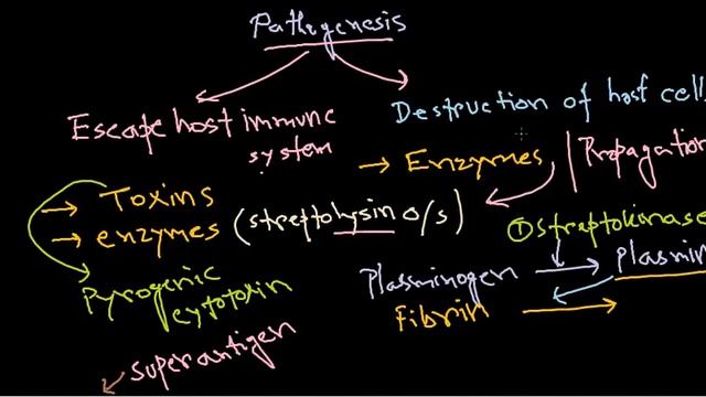 Streptococcus pathogenesis смотреть онлайн