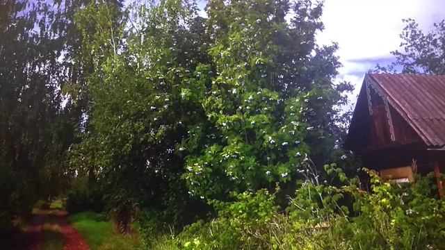 Поэма"Русский крест"/Николай Мельников/2 часть(6-8 главы) смотреть онлайн