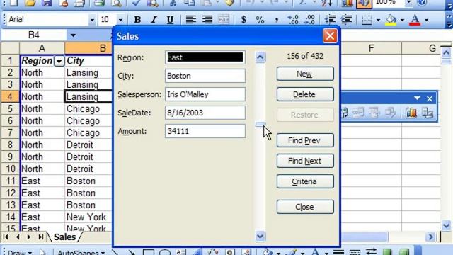 Excel 2003 Tutorial Using the Data Form Microsoft Training Lesson 25.1 смотреть онлайн