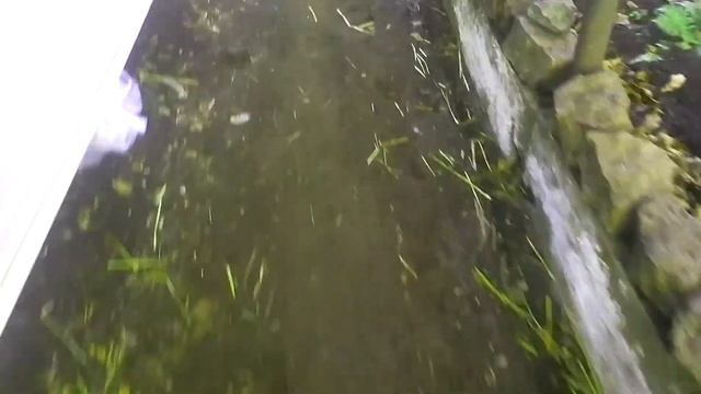Начинаем копать колодец Кушнаренковский район. Первушино смотреть онлайн