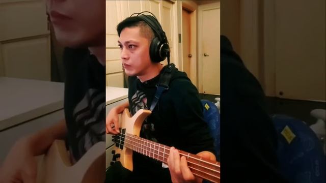 平成狸合戰cover by 張震宇bombeiros смотреть онлайн
