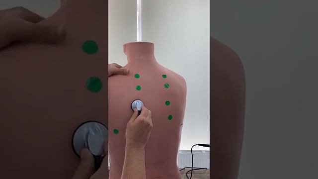 14 шум трение плевры