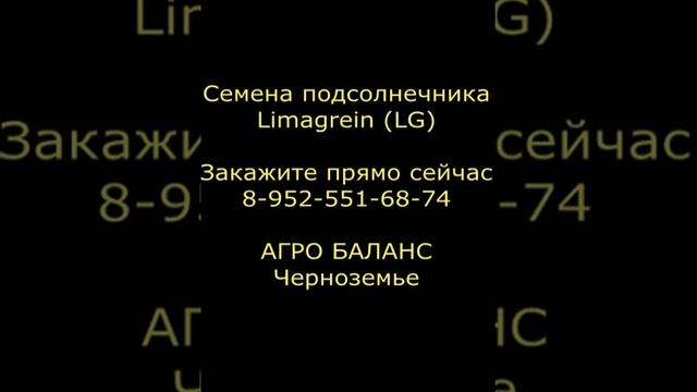 Лимагрейн (LG) семена подсолнечника смотреть онлайн