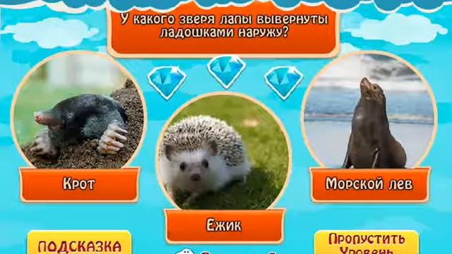 ОТВЕТЫ игра "ВСЕЗНАЙКА" 1, 2, 3, 4, 5, 6, 7, 8, 9, 10 уровень.ОДНОКЛАССНИКИ смотреть онлайн