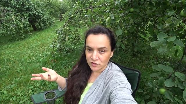 ПОХУДЕНИЕ ОНЛАЙН (день 30-31) : ЗА МЕСЯЦ МИНУС 7кг * ЧТО БУДУ КУШАТЬ ДАЛЬШЕ смотреть онлайн