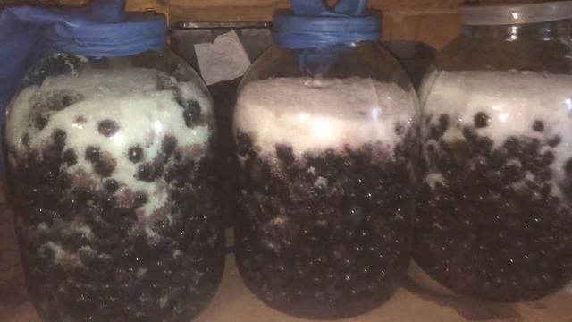 Самый простой способ приготовления виноградного вина смотреть онлайн