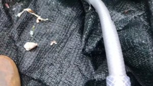 Фильтр для пруда за 30 минут своими руками. Как очистить воду и сделать прозрачной