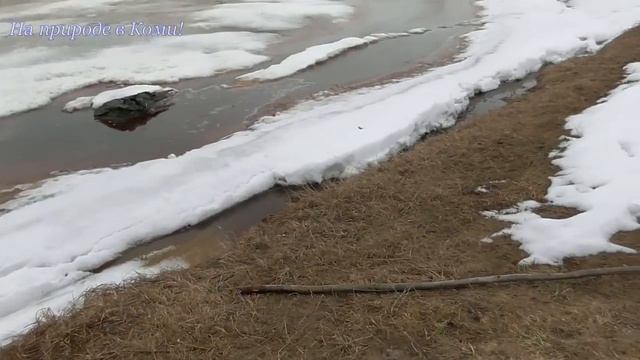 08.05.18 лёд стоит /У реки Нившера #20/ смотреть онлайн