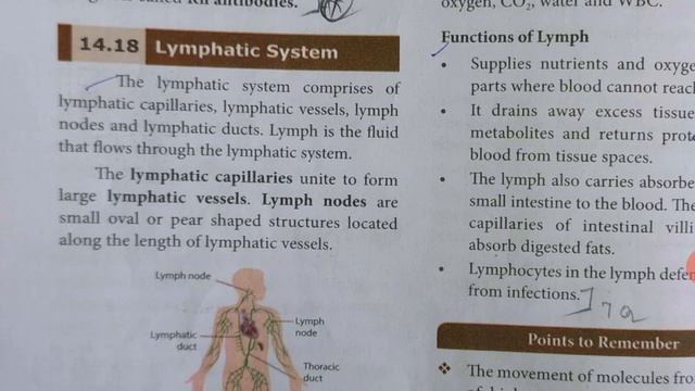 10 TH..ZOOLOGY... UNIT 14... TRANSPORTATION IN PLANTS AND CIRCULATION IN ANIMALS. смотреть онлайн