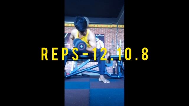 Biceps and back workout"DAY 14 PULL" 4WEEK MUSCLE BUILDING PROGRAM смотреть онлайн