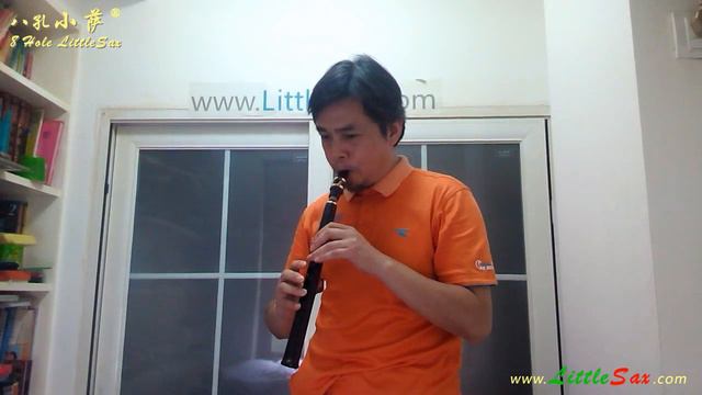 "Di - Da" 8-Hole LittleSax/Pocket sax/Xaphoon/Mini Sax/Simple Mini Saxophone 《滴答》 смотреть онлайн