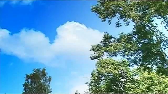 Свадебный клип Дениса и Натальи.mp4 смотреть онлайн