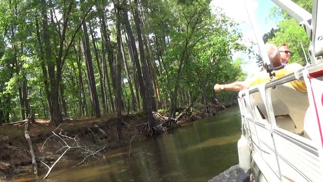 2014 04 23 Caddo Lake TX (CX230 3/6) смотреть онлайн