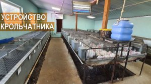 Устройство кроликофермы. Как устроены кроличьи клетки и кормушки? Как убирается кроличий навоз?