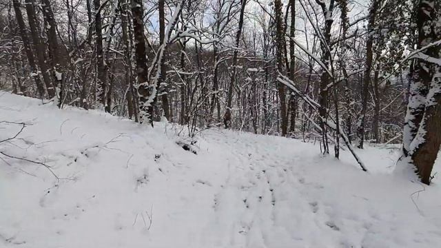 Соберская кругосветка 2020. смотреть онлайн