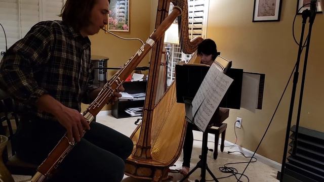 Debussy - La Fille Aux Cheveux De Lin - Bassoon and Harp (Arr. Rui Lopes) смотреть онлайн