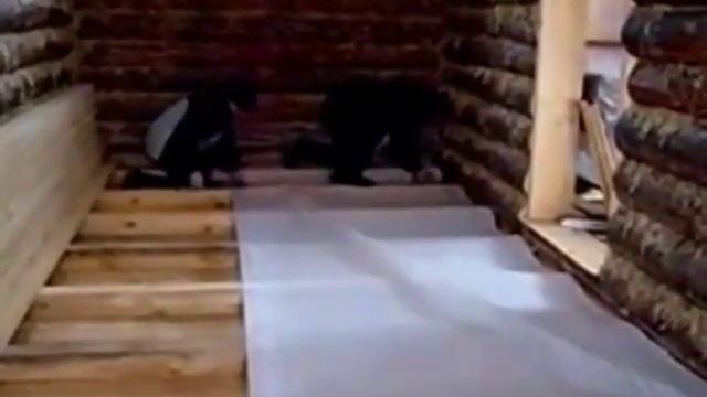 Конопатка, шлифовка, окосячка, отделка сруба. смотреть онлайн