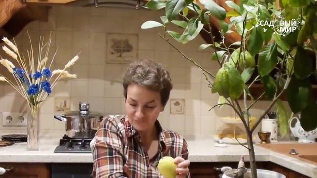 Рисование Карандашом