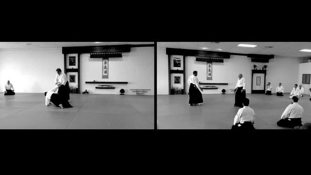 Jazz on Aikido Quaranta-O'Connor-Lance Jazz on a Note of Aikido shoting by Tolga Taneli смотреть онлайн