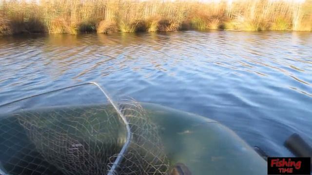 Ловля щуки осенью***Воблер Strike Pro смотреть онлайн