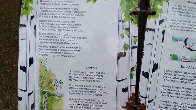 Рубцов Николай Иванович, "Я буду долго гнать велосипед"... смотреть онлайн