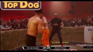 Николай «Чибис» vs Мустафа «Беспощадный» Чемпионский бой TopDog 1 суперский бой