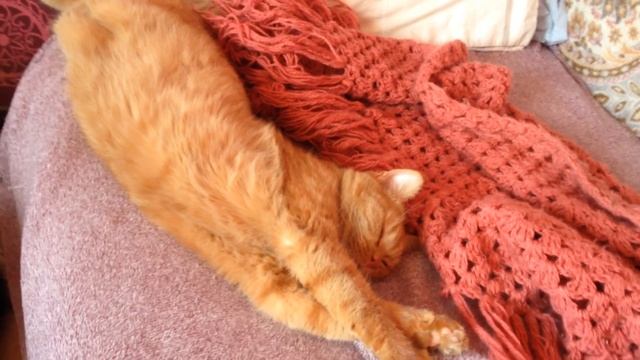 Кошкин дом смотреть онлайн