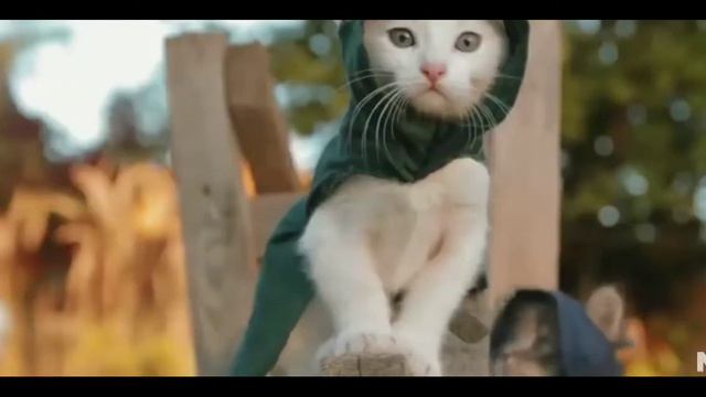 Коты ассасины 2 смотреть онлайн