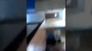 Когда в дом залетел шершень
