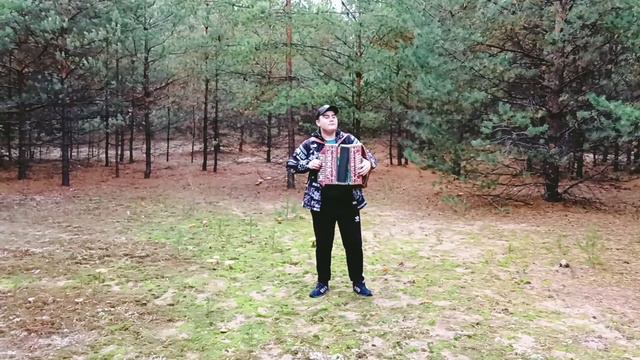 Туманы туманы. смотреть онлайн