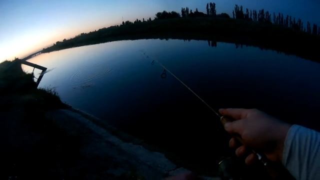 Жерех. приманка Дуо Поко Поко смотреть онлайн