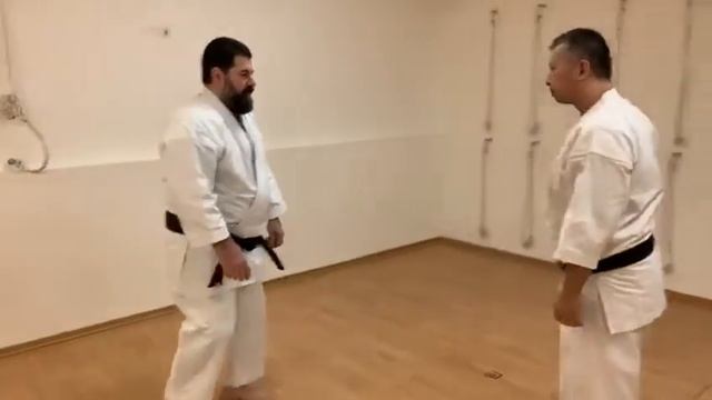 Part of bunkai kata Sepai (Seipai) Mabuni ha Shito ryu karate смотреть онлайн