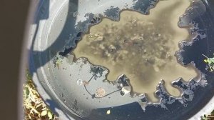 Чистка в потоке от всего негатива.