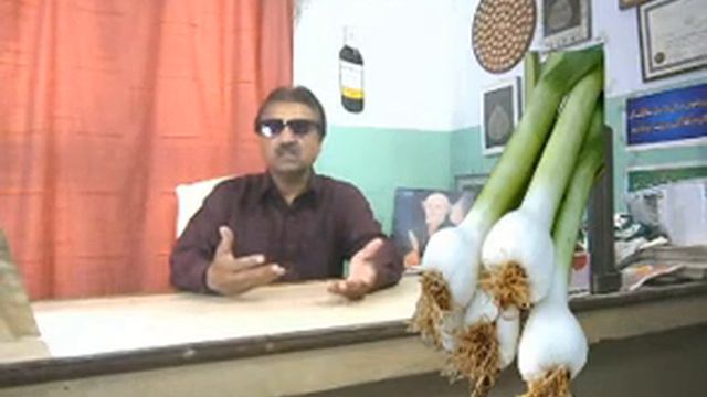 SIGN AND SYMPTOMS OF ALLIUM SATIVA