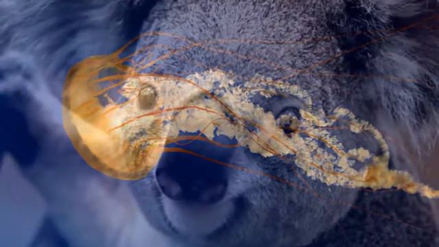 Зачем мы губим наш мир.Посмотрите какой он красивый! смотреть онлайн