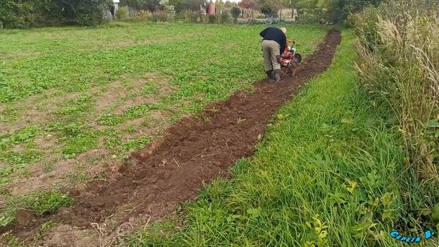 Единственные ИСПЫТАНИЯ подрезного ДИСКА. ПАХАТЬ ЛЕГЧЕ! Tests of the undercut disc. PLOW EASIER! смотреть онлайн
