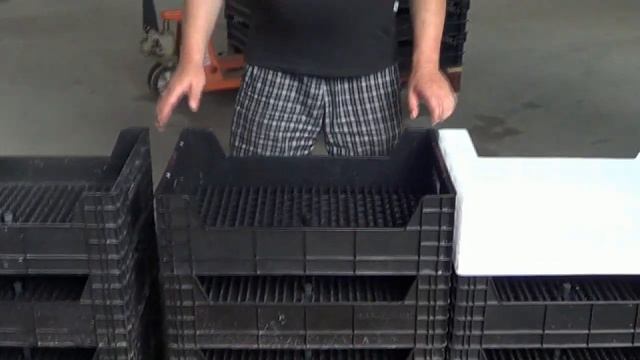 Выгонка тюльпанов, г/п ящики, профессиональный обзор смотреть онлайн