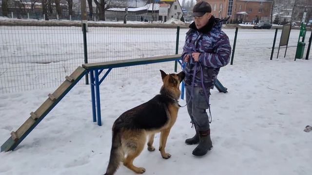 Сидеть, стоять. Какие ошибки? смотреть онлайн