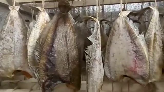 Вялка мурманской камбалы ёрш смотреть онлайн