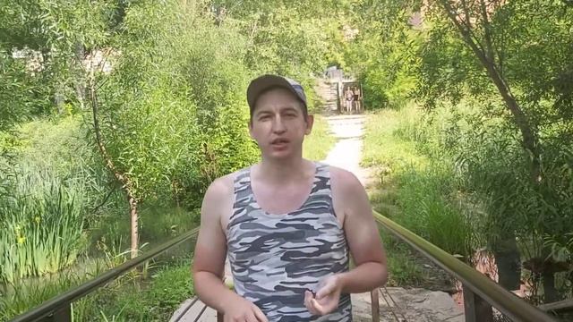 Анатолий Горовой - Цветы из под камней смотреть онлайн