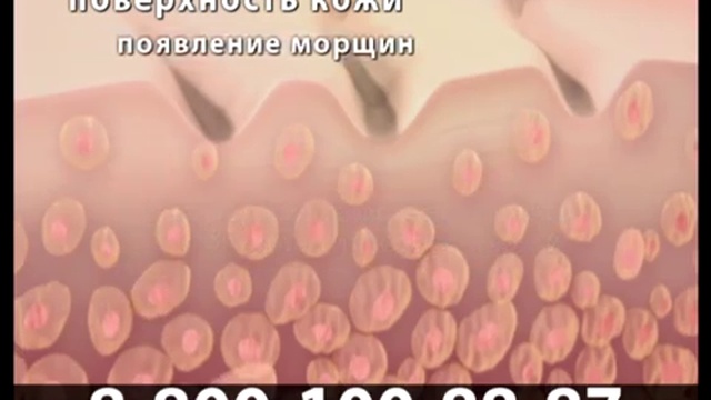 Рекламный ролик для бренда Stem Cell Therapy смотреть онлайн