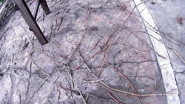 Огород в другом измерении 5 смотреть онлайн