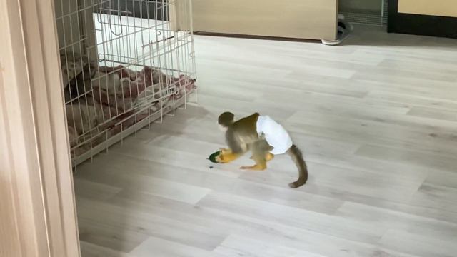 Огурчик. смотреть онлайн