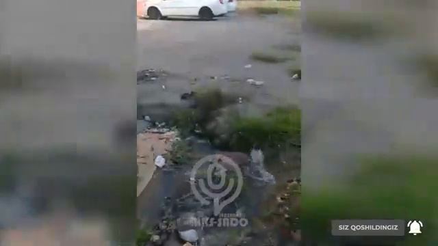 Олтиариқ тумани Хамза кўчасидаги янги қурилган кўп қаватли уйларнинг олдида сув қувури ёрилган смотреть онлайн