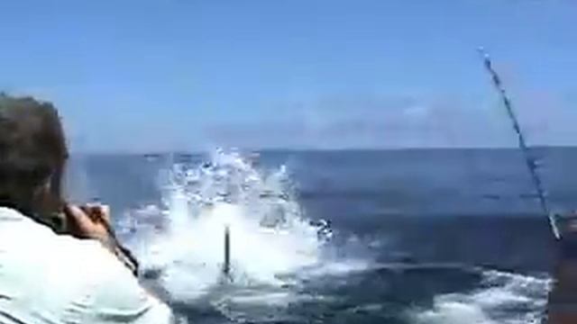Horror fishing смотреть онлайн