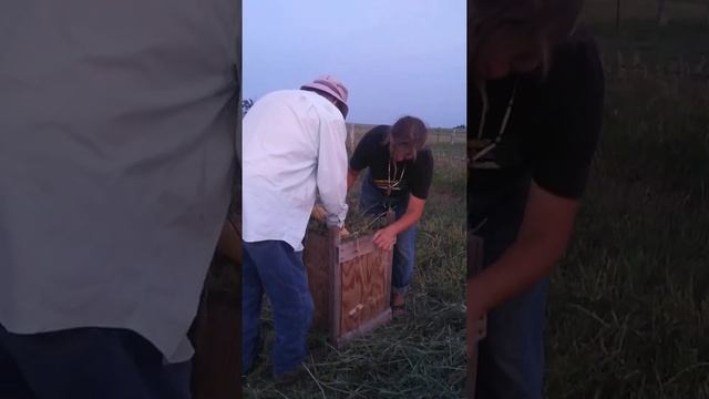 Как сделать брикеты сена без специального дорогого оборудования. смотреть онлайн